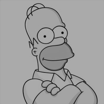 Photo our team's member Homer Simpson